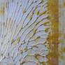 close-up details