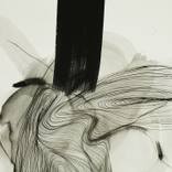 Collection Joan Serra Tur
