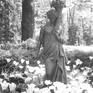 Statue in garden - Limited Edition 1 of 1 Photography by Linda Lucchesi ...