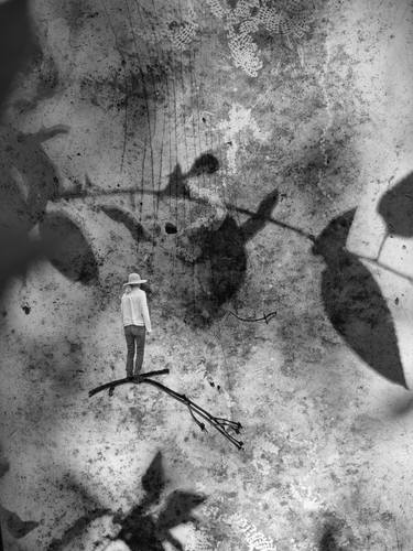 Original Black & White Nature Photography by Ivana Vostrakova