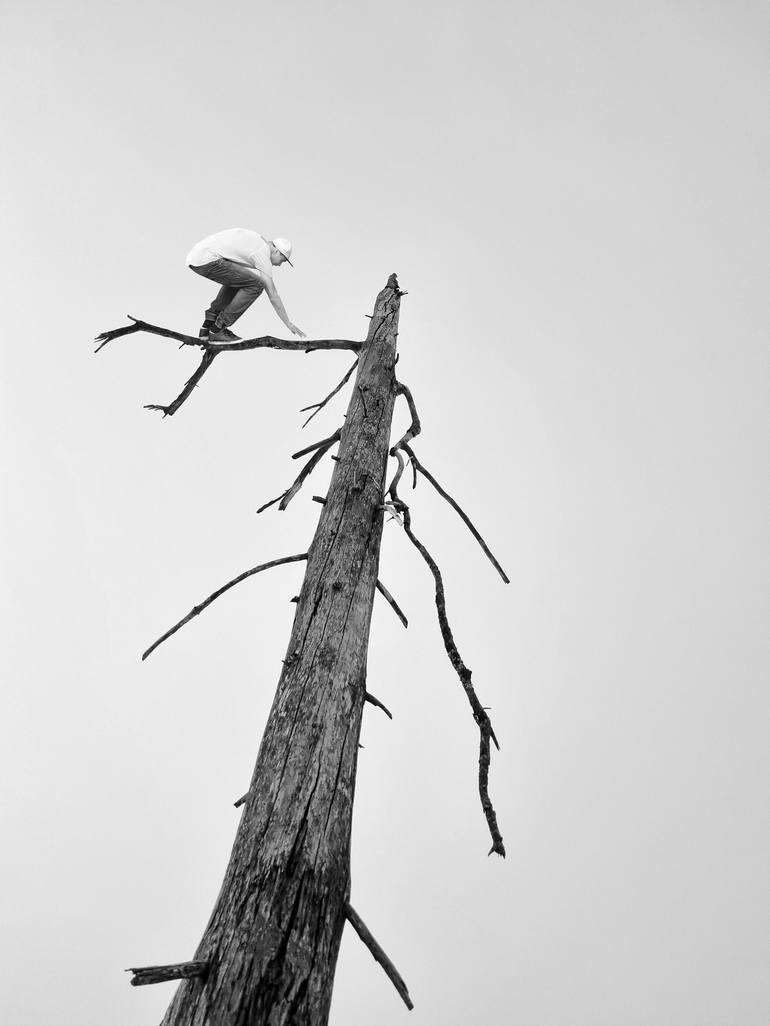 Print of Minimalism Nature Photography by Ivana Vostrakova