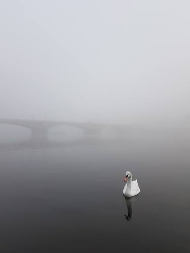 Original Minimalism Water Photography by Ivana Vostrakova