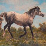 Determination by Brenda Howell