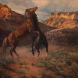 Wild Challenges by Brenda Howell