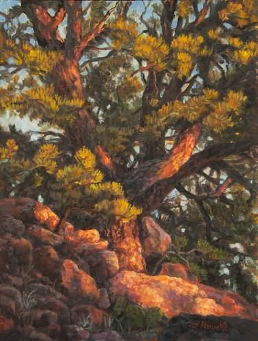 Original Fine Art Tree Paintings by Brenda Howell
