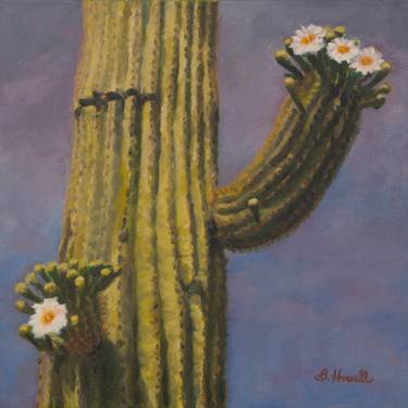 Saguaro in Flower thumb
