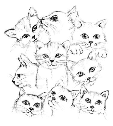 Original Animal Drawings by Julia Grifol