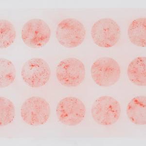 Circle sequence 6