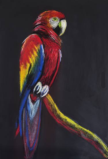Scarlet Macaw Bird thumb