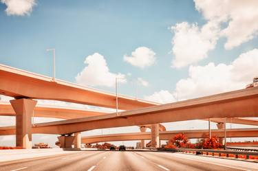Dolphin Expressway #002 (XL) - Limited Edition 4 of 25 thumb
