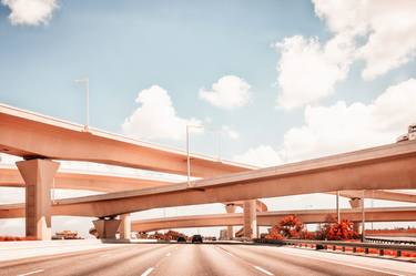 Dolphin Expressway #002 (L) - Limited Edition 1 of 50 thumb
