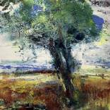 Summer Breeze by David Stanley