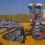 Let's harvest on time! by Anastasia Nesterova