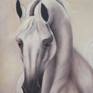 An Oil Portrait of a beautiful Arabian horse based on the Champion Stallion El Nabila b, who I had the great honor of meeting at his temporary home in California a few years ago! I have concentrated on the sculptural elegance and strength of form and used a limited and muted palette which complements his power and grace. The painting is unframed.