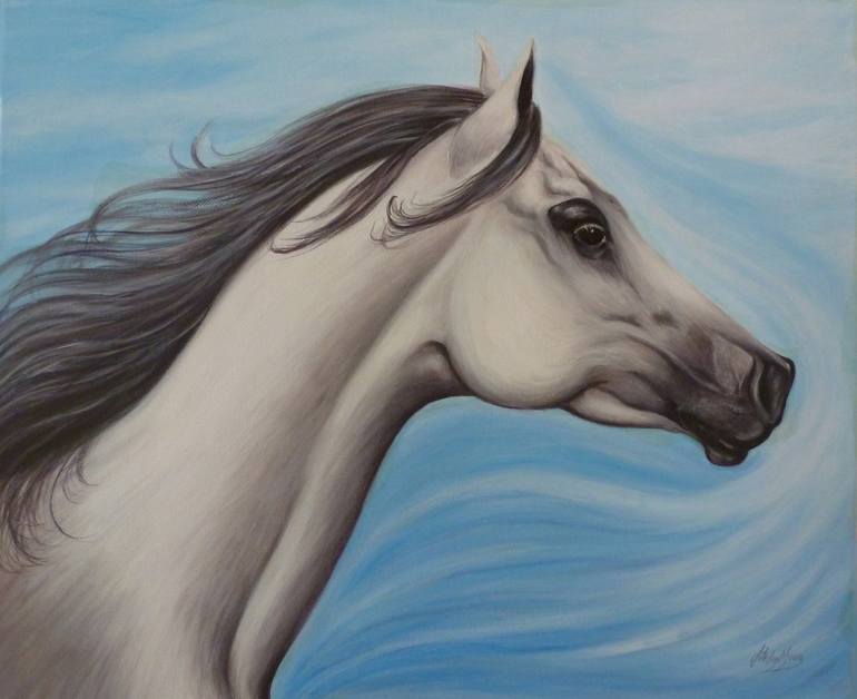 white arabian stallion head