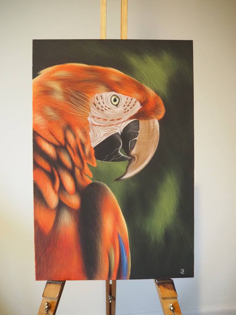 Original Photorealism Animal Drawing by Iwona Przybylska