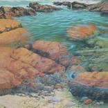 Collection Landscapes