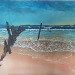 Collection Landscapes