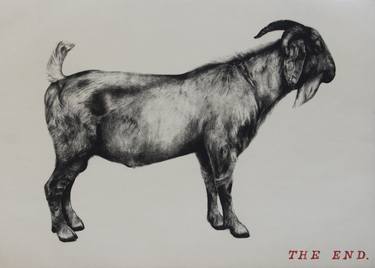 Original Fine Art Animal Printmaking by Tammy Mackay