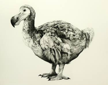 Original Fine Art Animal Printmaking by Tammy Mackay