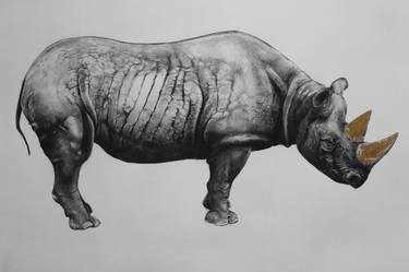 RHINOCEROS (state II) - Limited Edition of 20 thumb