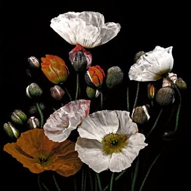 Popping Poppies #14 framed canvas ready to hang - Limited Edition of 25 thumb