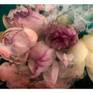 I loved combining the inks in with my floral photography, printed onto fine art matt archival paper with pigment inks     
