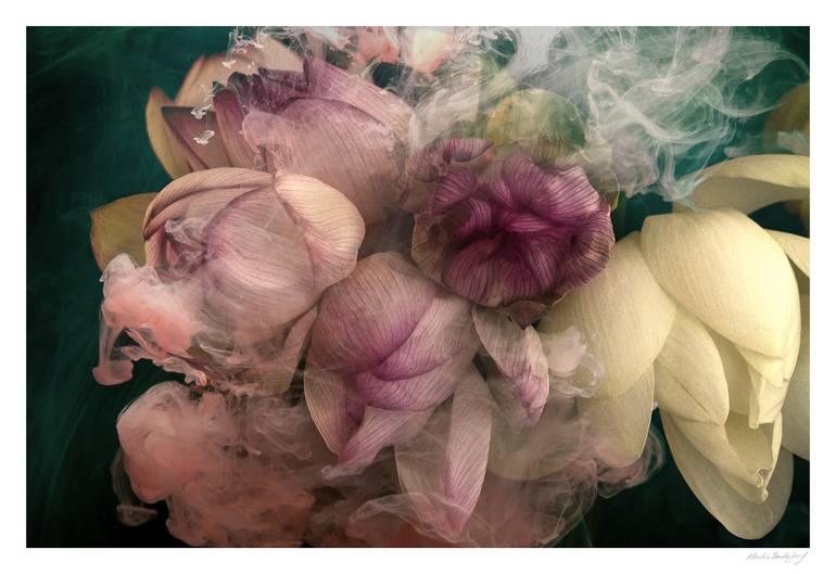 Original Modern Floral Photography by Martine Vanderspuy