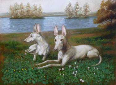 Original Animal Paintings by Fulvia Zambon
