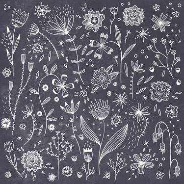 Original Illustration Floral Drawings by Nic Squirrell