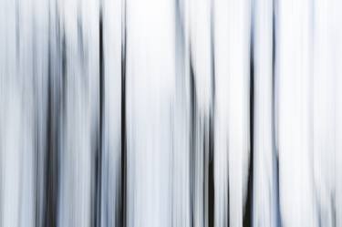 Norsey Wood Abstract I by Sylvia Lockhart - Limited Edition 1 of 5 thumb