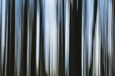 Norsey Wood Abstract II by Sylvia Lockhart - Limited Edition 1 of 5 thumb