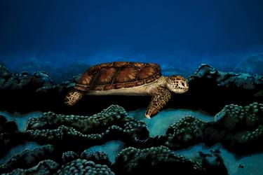 Sea Turtle Bodypainting Illusion thumb