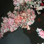 HANA SAN by Agnes Duijves