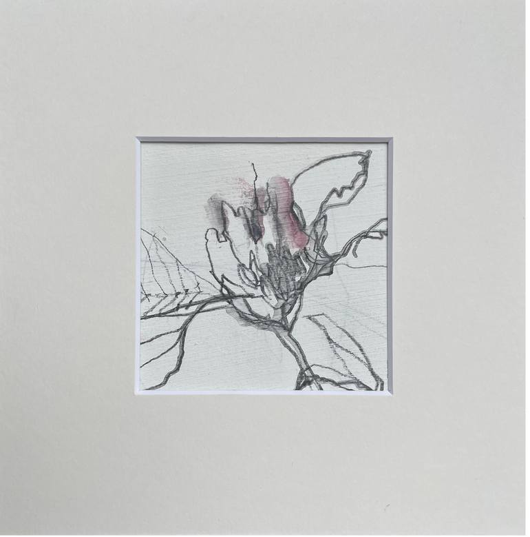 Original Black & White Floral Drawing by Conny Kunert
