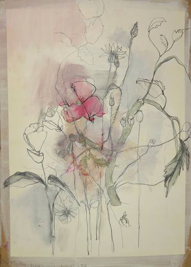 Print of Floral Drawings by conny kunert