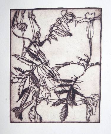 Original Figurative Botanic Printmaking by conny kunert