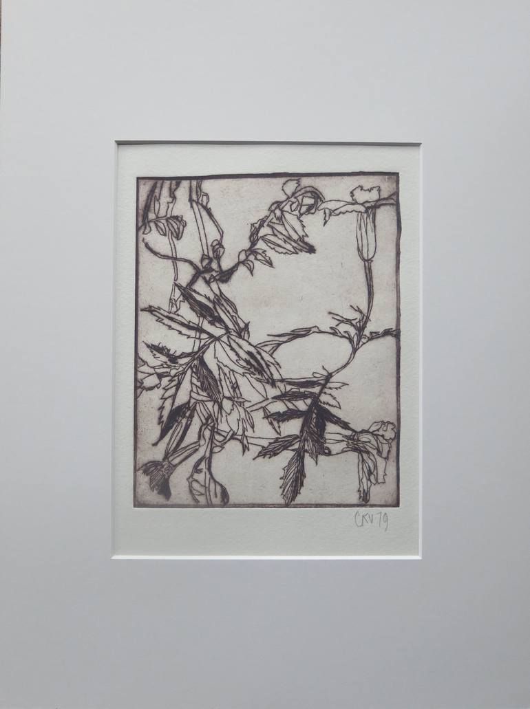 Original Botanic Printmaking by conny kunert