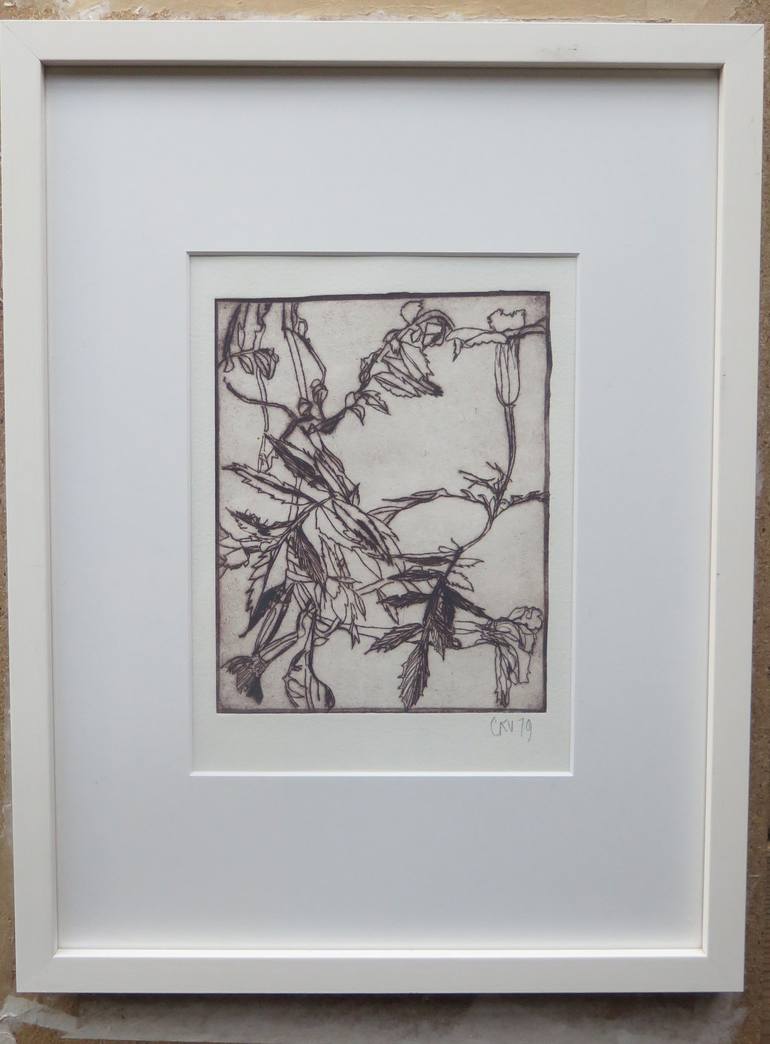 Original Botanic Printmaking by conny kunert