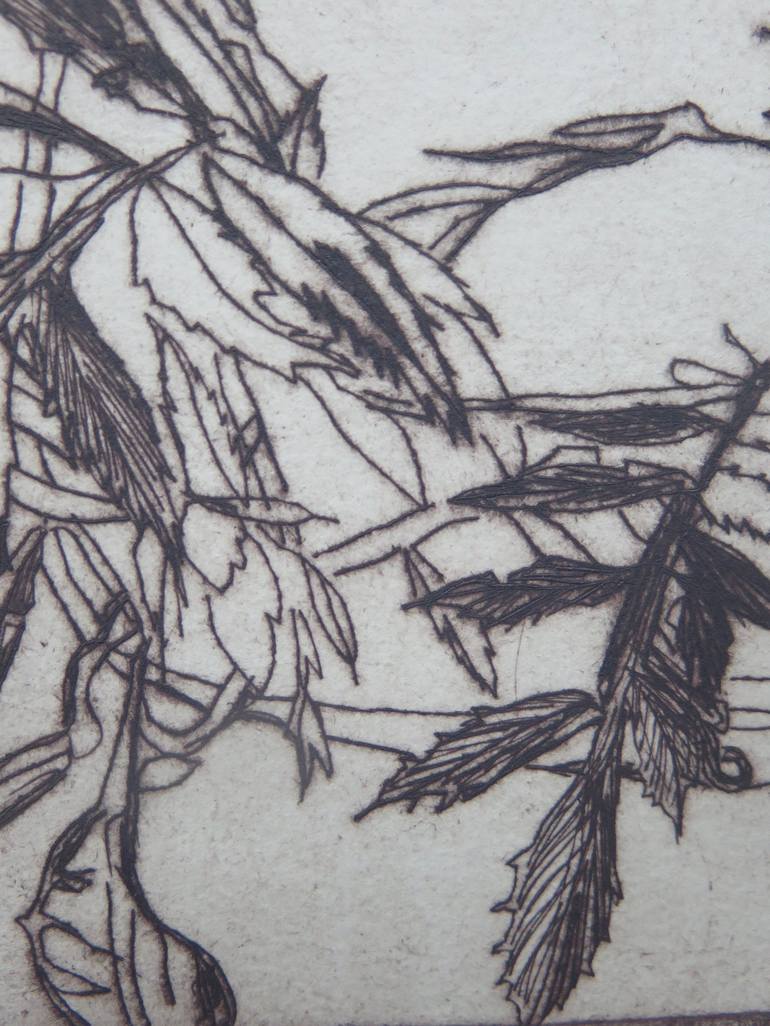 Original Botanic Printmaking by conny kunert