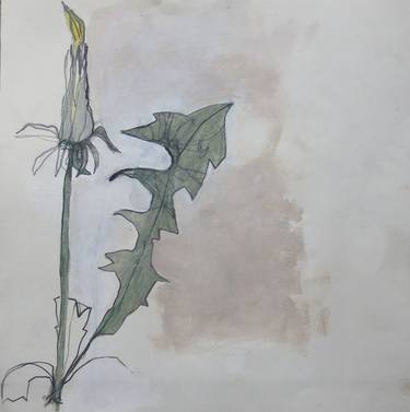 Original Figurative Botanic Drawings by conny kunert