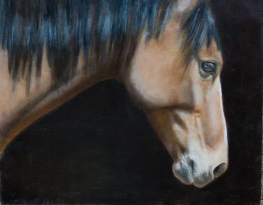 Original Realism Horse Paintings by Sarah Kennedy