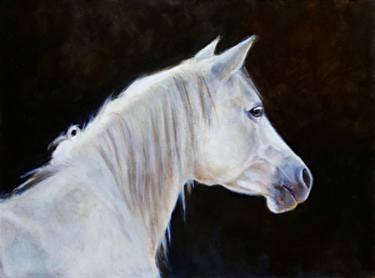 Original Fine Art Horse Paintings by Sarah Kennedy