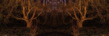 Mirrored landscape 7 - Limited Edition 1 of 8 thumb