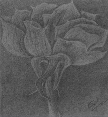 Flower Charcoal Drawing 29 *29cm Original, Charcoal, Drawing of Flower, Flower Sketch, Flower Art, Flower Sketch thumb