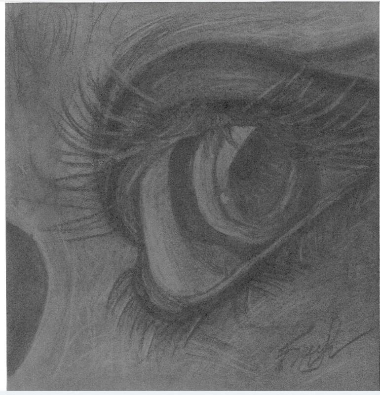 Eye Charcoal Drawing 29 29cm Original Charcoal Charcoal Drawing Eye Drawing Eye Drawing By Alina Blinova Saatchi Art Charcoal drawings on cave walls were the first recorded art and visual record of man. eye charcoal drawing 29 29cm original charcoal charcoal drawing eye drawing eye