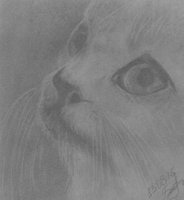 Kitten Charcoal Drawing 29*29cm Original, Charcoal, Drawing of Pet, Pet Sketch, Pet Art, Kitten Sketch, Kitten Art, Pet Portrait thumb
