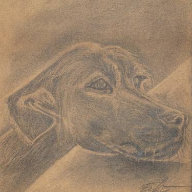 Dog Charcoal Drawing 29*29cm Original, Charcoal, Drawing of Pet, Pet Sketch, Pet Art, Dog Sketch, Dog Art, Photo to Sketch, Pet Portrait thumb