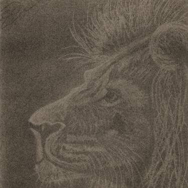 Lion Head Charcoal Drawing 29*29cm Original, Charcoal, Drawing of Pet, Pet Sketch, Pet Art, Lion Sketch, Photo to Sketch, Pet Portrait thumb
