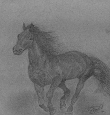 Running Horse Charcoal Drawing 29*29cm Original, Charcoal, Drawing of Pet, Pet Sketch, Pet Art, Horse Sketch, Photo to Sketch, Pet Portrait thumb